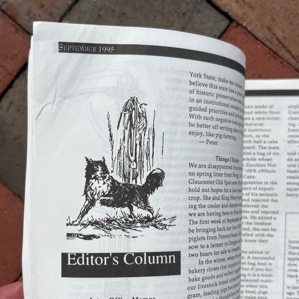 1995 Rural New England Magazine Homesteading Yankee Living History Newsletter - Picture 8 of 10